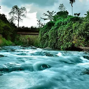 3* Hotel Rivertree