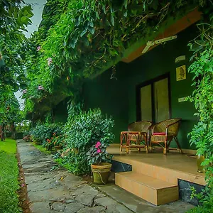 Ecotones By Eden Environs Feriested